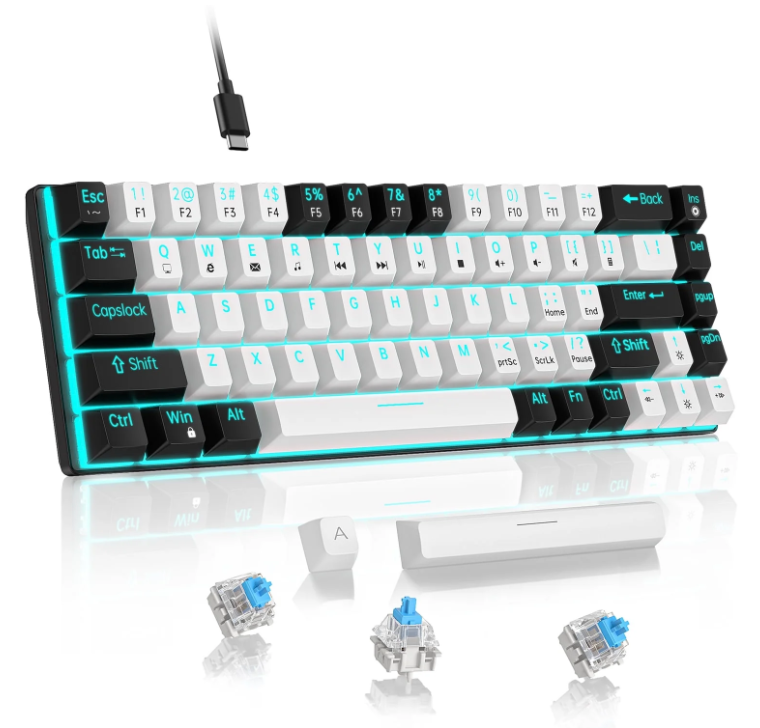 60% Mechanical Keyboard, LED Backlit Compact 68 Keys Gaming Keyboard, USB Wired Keyboard with Blue Switch, Multimedia & Anti-ghosting Keys for Windows Computer Laptop PC Gamer Office