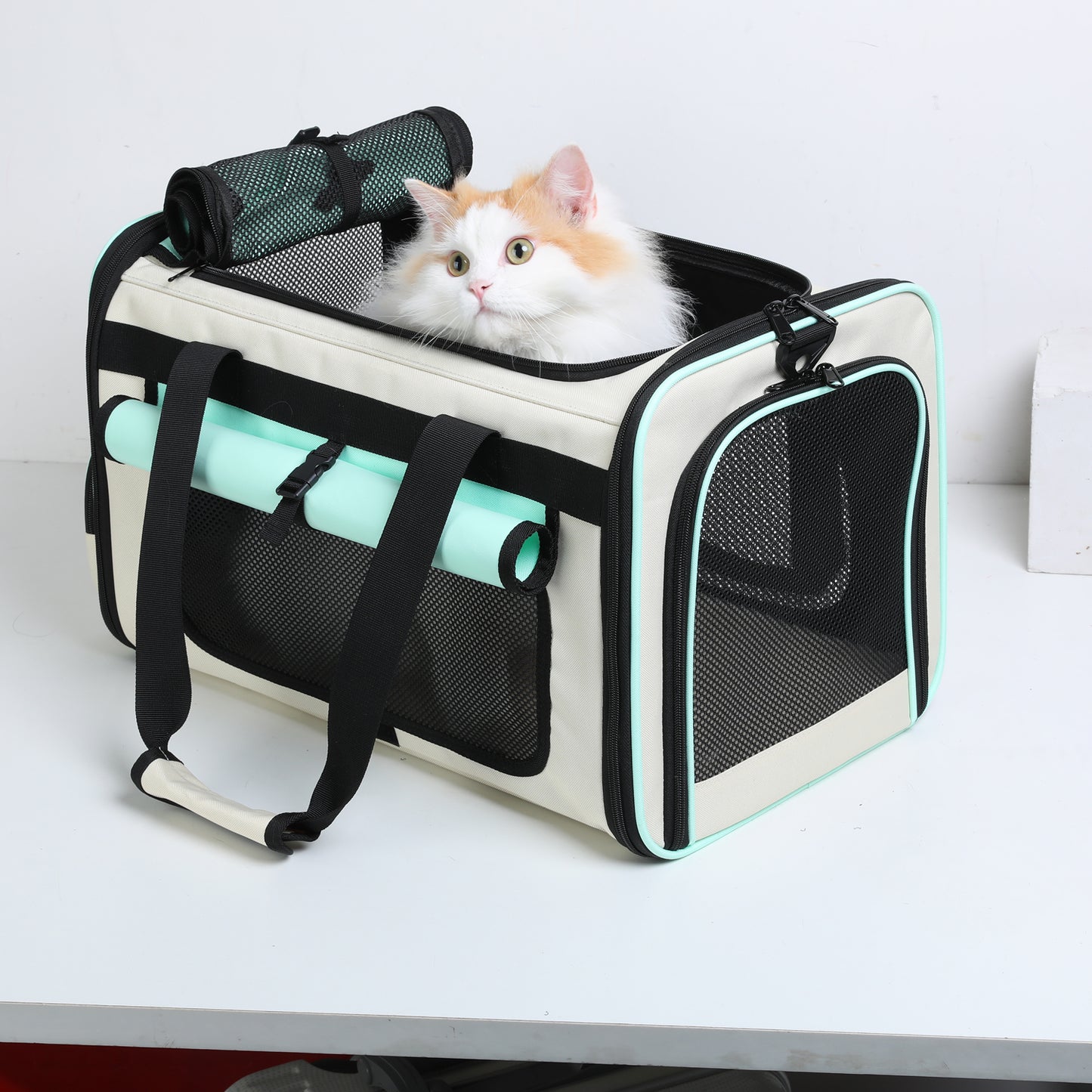 CSD01PFCT0000WT Cat Carrier for Large Cat up to 25LBs