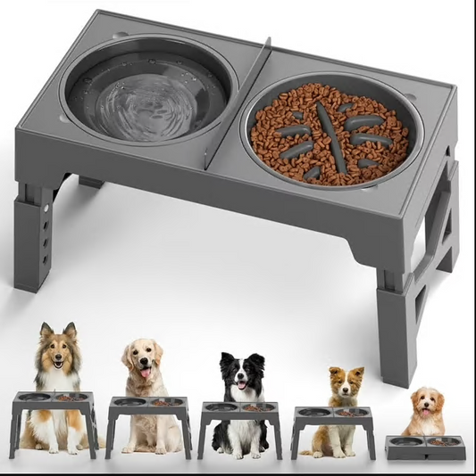 CSD03PDRB0000GY     Visit the Cshidworld Store Elevated Dog Bowls, Raised Slow Feeder Dog Bowls with No Spill Dog Water Bowl Dispenser, 5 Heights Adjustable Raised Dog Bowls Stand for Small Medium Large Dogs Cats & Pets, Non-Slip Dog Feeder