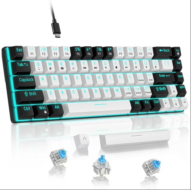 CSD01MWGKV800BK60% Mechanical Keyboard, LED Backlit Compact 68 Keys Gaming Keyboard, USB Wired Keyboard with Blue Switch, Multimedia & Anti-ghosting Keys for Windows Computer Laptop PC Gamer Office